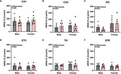 Impact of sex and hypoxia on brain region-specific expression of membrane androgen receptor AR45 in rats